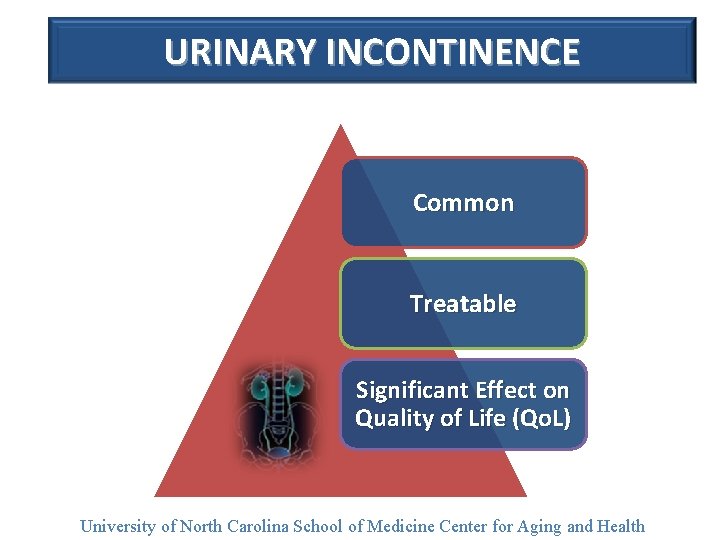 URINARY INCONTINENCE Common Treatable Significant Effect on Quality of Life (Qo. L) University of