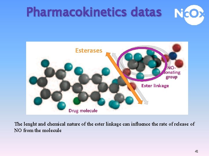 Pharmacokinetics datas Esterases Ester linkage The lenght and chemical nature of the ester linkage