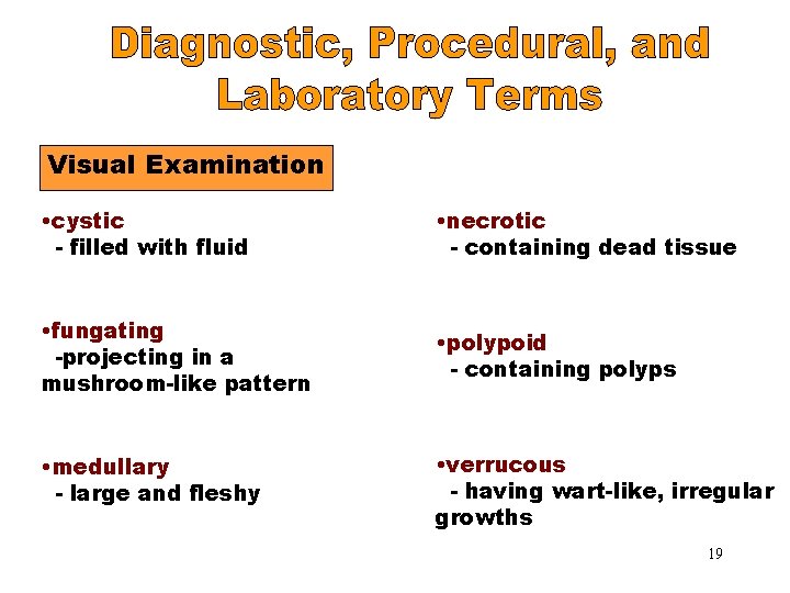 Visual Examination • cystic - filled with fluid • necrotic - containing dead tissue