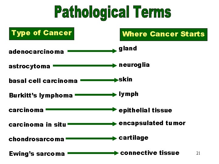 Pathological. Where Terms Cancer Starts Type of Cancer adenocarcinoma gland astrocytoma neuroglia basal cell
