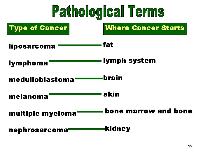 Cancer Pathological Where Terms Part. Starts 3 Type of Cancer liposarcoma fat lymphoma lymph