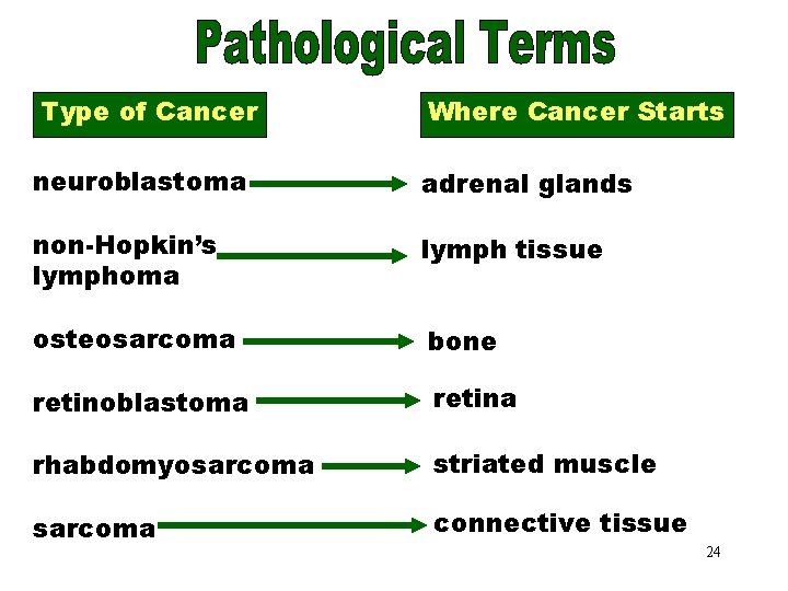 Pathological Terms Part 4 Starts Where Cancer Type of Cancer neuroblastoma adrenal glands non-Hopkin’s
