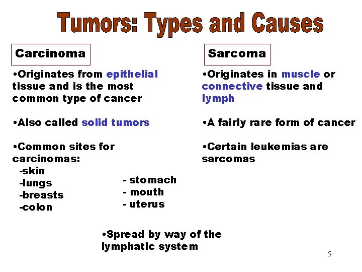 Carcinoma/Sarcoma • Originates from epithelial tissue and is the most common type of cancer