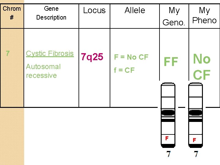 Chrom # 7 Gene Description Cystic Fibrosis Autosomal recessive Locus 7 q 25 Allele