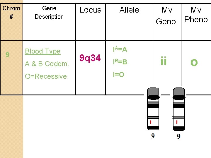 Chrom # 9 Gene Description Blood Type A & B Codom. O=Recessive Locus 9