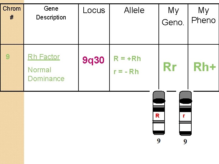 Chrom # 9 Gene Description Rh Factor Normal Dominance Locus 9 q 30 Allele