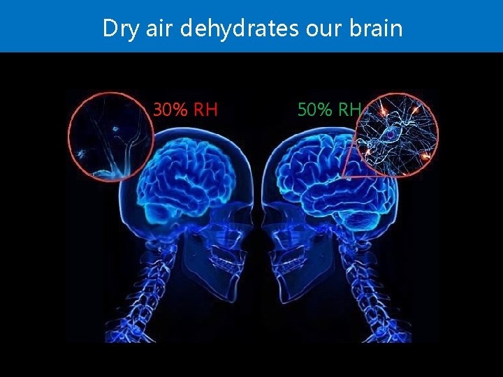 Dry air dehydrates our brain 30% RH 50% RH 