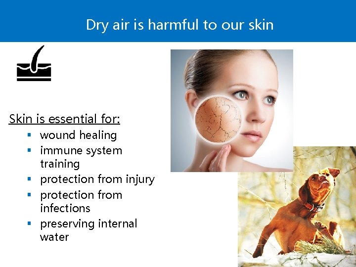 Dry air is harmful to our skin Skin is essential for: § wound healing