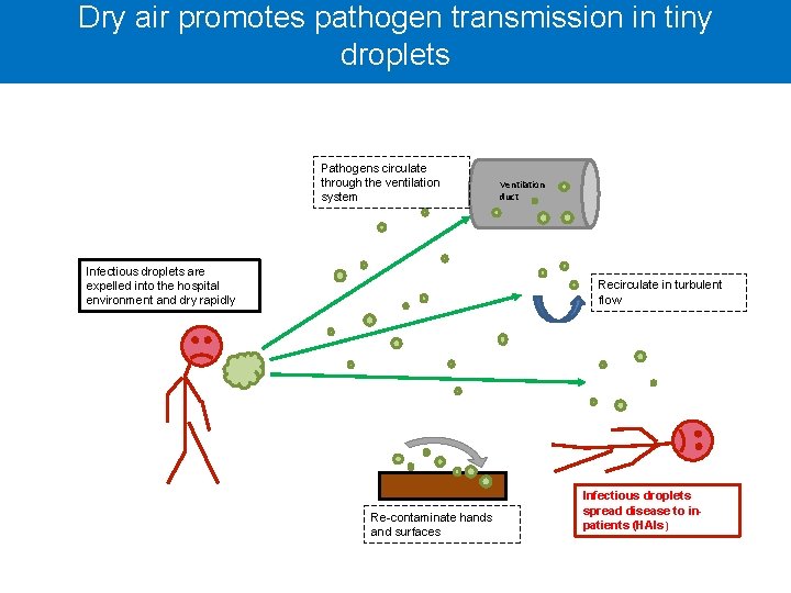 Dry air promotes pathogen transmission in tiny droplets Pathogens circulate through the ventilation system