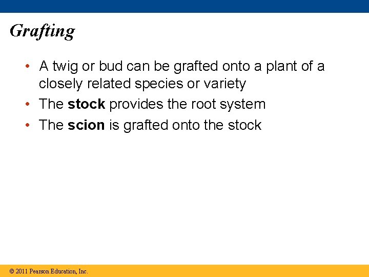 Grafting • A twig or bud can be grafted onto a plant of a