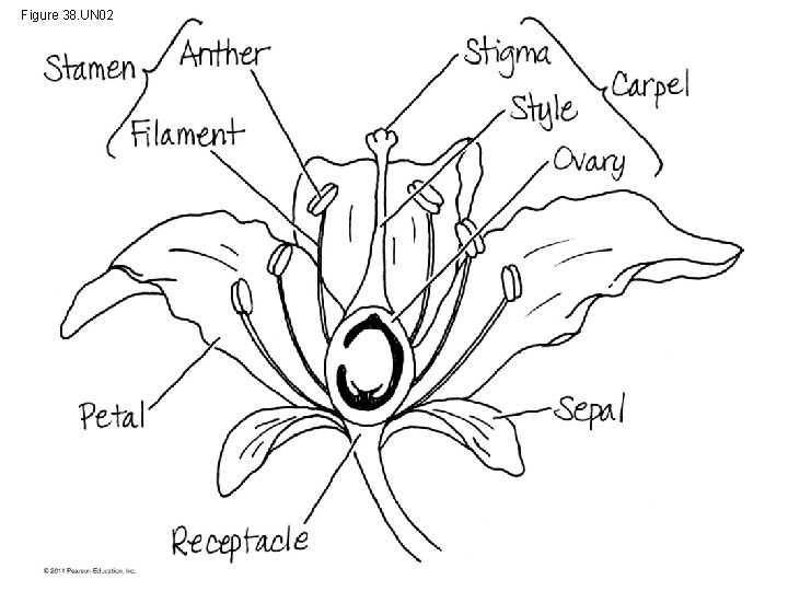 Figure 38. UN 02 