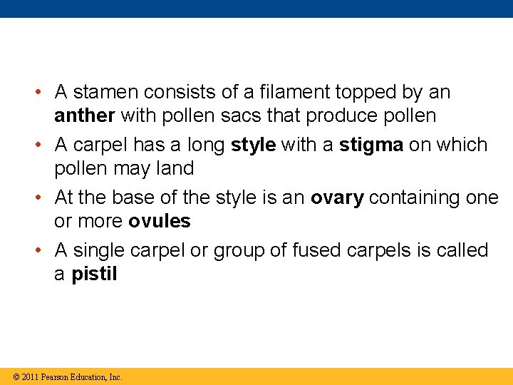  • A stamen consists of a filament topped by an anther with pollen