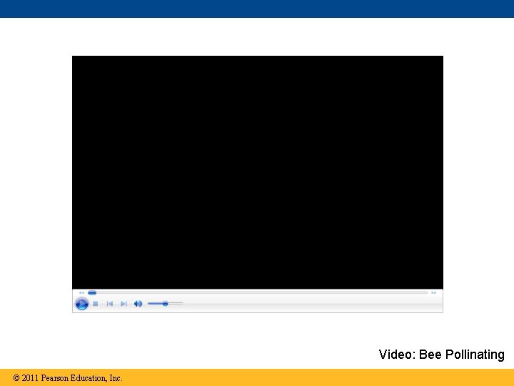 Video: Bee Pollinating © 2011 Pearson Education, Inc. 