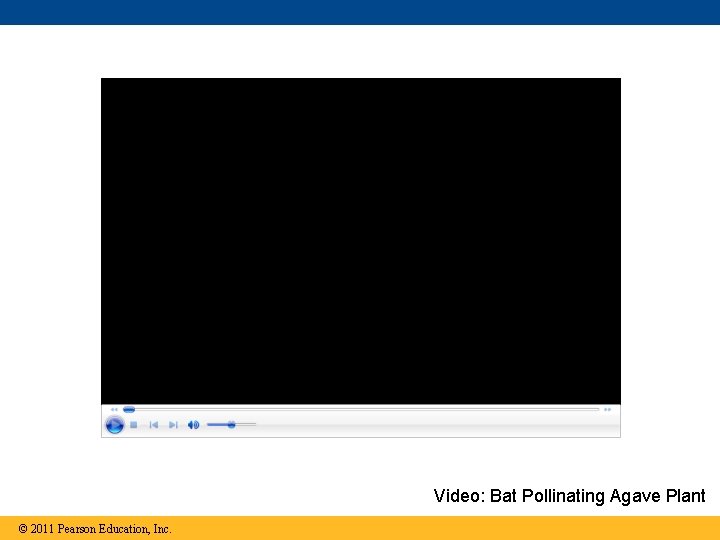 Video: Bat Pollinating Agave Plant © 2011 Pearson Education, Inc. 