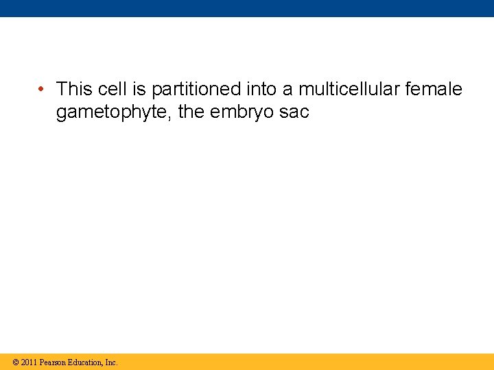  • This cell is partitioned into a multicellular female gametophyte, the embryo sac