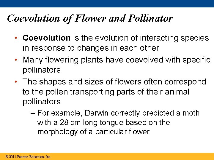 Coevolution of Flower and Pollinator • Coevolution is the evolution of interacting species in