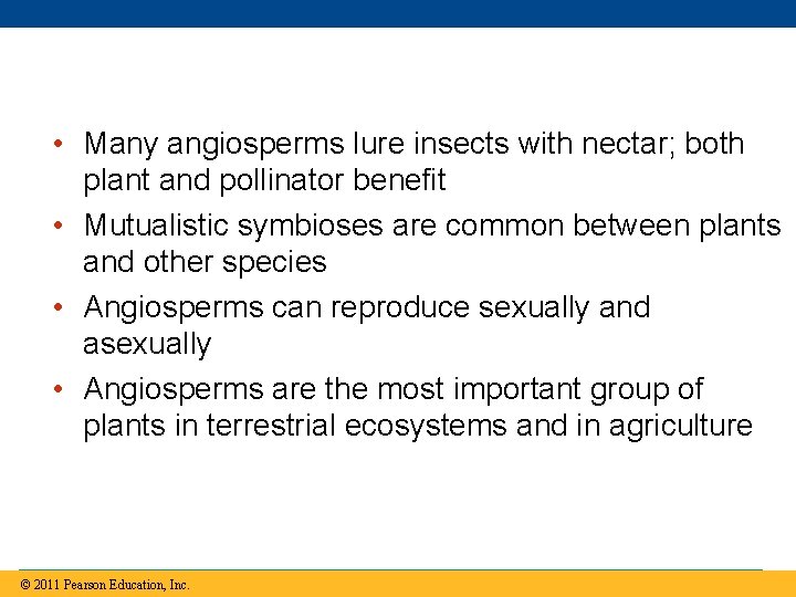  • Many angiosperms lure insects with nectar; both plant and pollinator benefit •