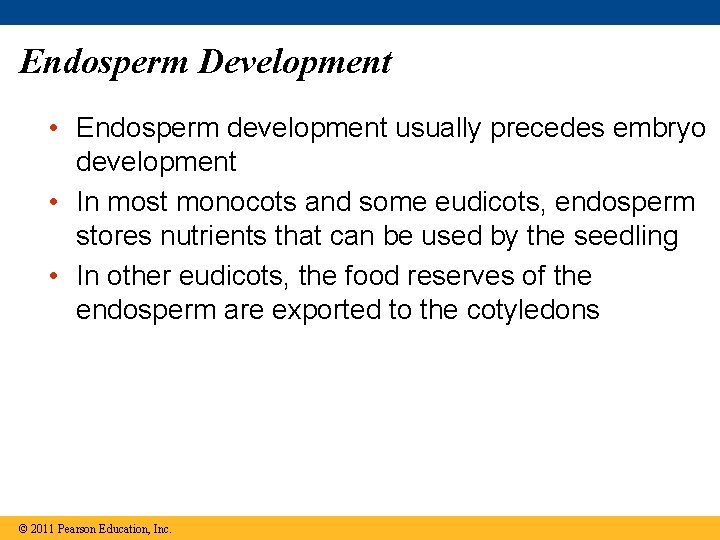 Endosperm Development • Endosperm development usually precedes embryo development • In most monocots and