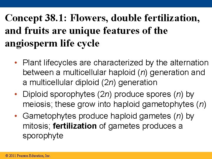 Concept 38. 1: Flowers, double fertilization, and fruits are unique features of the angiosperm