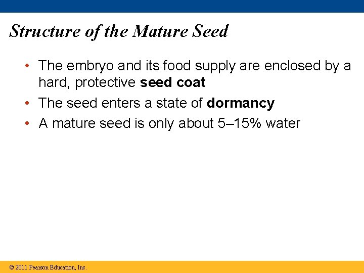 Structure of the Mature Seed • The embryo and its food supply are enclosed