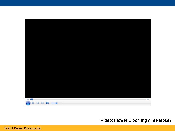 Video: Flower Blooming (time lapse) © 2011 Pearson Education, Inc. 