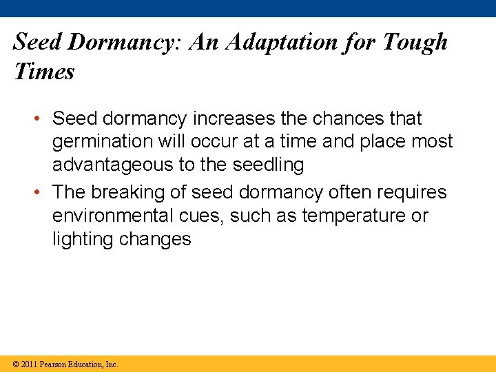 Seed Dormancy: An Adaptation for Tough Times • Seed dormancy increases the chances that