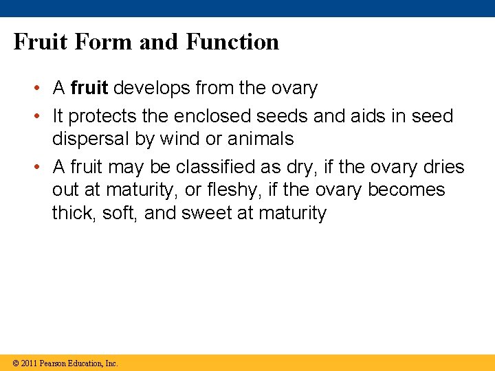 Fruit Form and Function • A fruit develops from the ovary • It protects