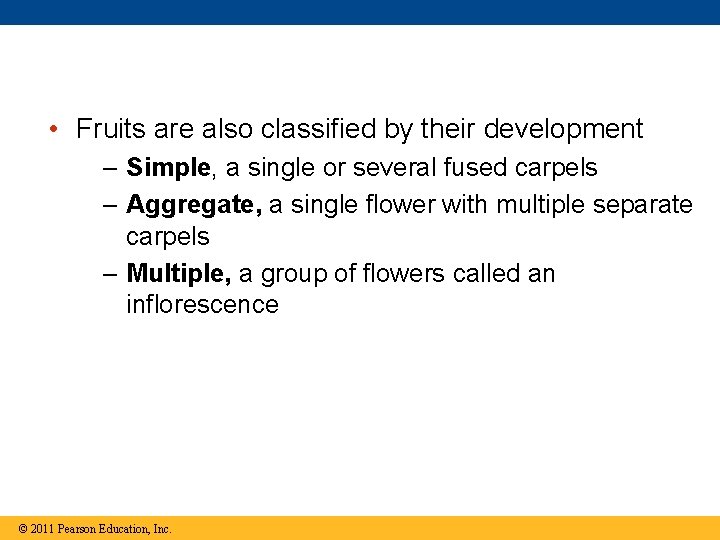  • Fruits are also classified by their development – Simple, a single or