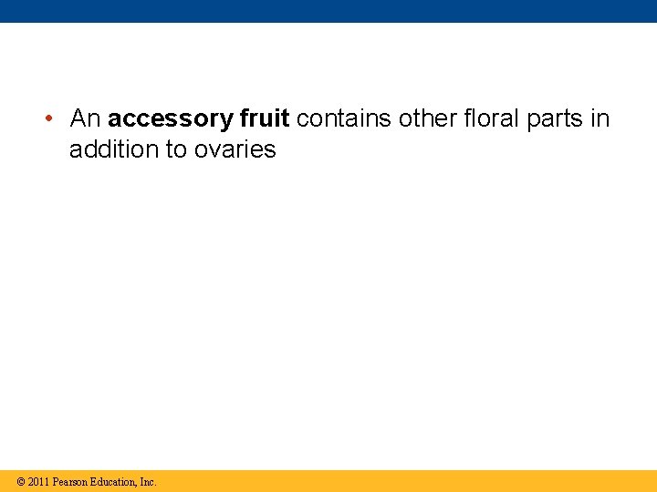  • An accessory fruit contains other floral parts in addition to ovaries ©