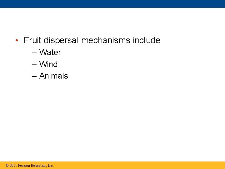  • Fruit dispersal mechanisms include – Water – Wind – Animals © 2011