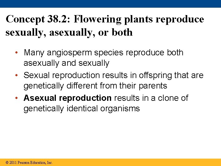 Concept 38. 2: Flowering plants reproduce sexually, asexually, or both • Many angiosperm species