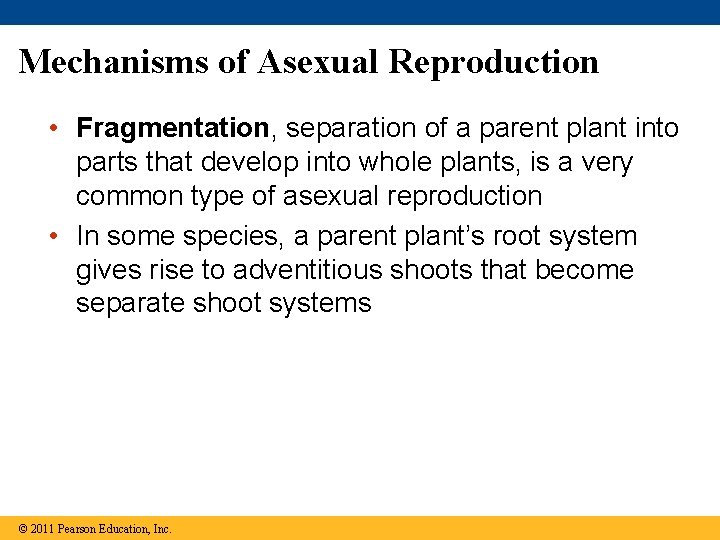 Mechanisms of Asexual Reproduction • Fragmentation, separation of a parent plant into parts that