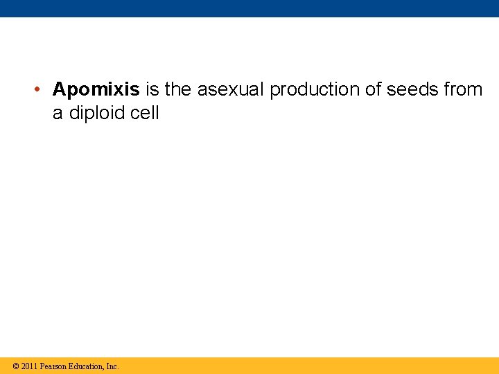  • Apomixis is the asexual production of seeds from a diploid cell ©