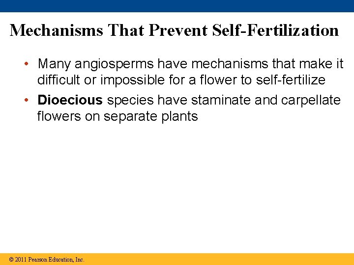 Mechanisms That Prevent Self-Fertilization • Many angiosperms have mechanisms that make it difficult or