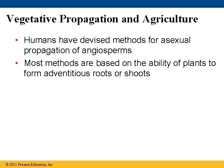 Vegetative Propagation and Agriculture • Humans have devised methods for asexual propagation of angiosperms