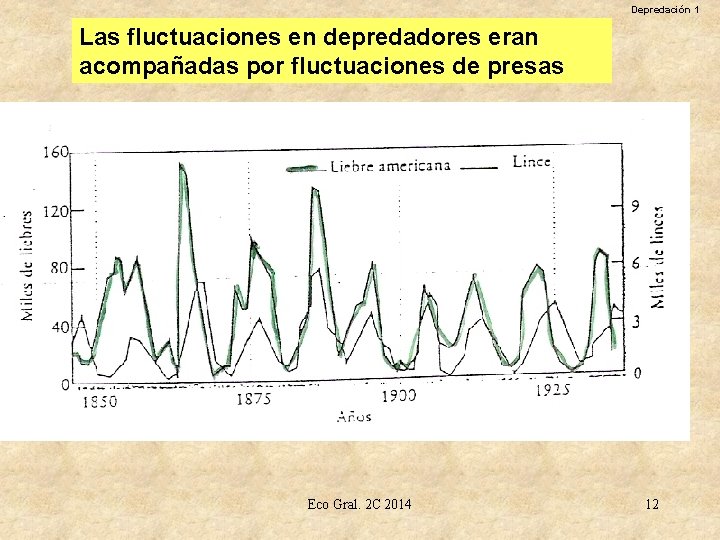 Depredación 1 Las fluctuaciones en depredadores eran acompañadas por fluctuaciones de presas Eco Gral.