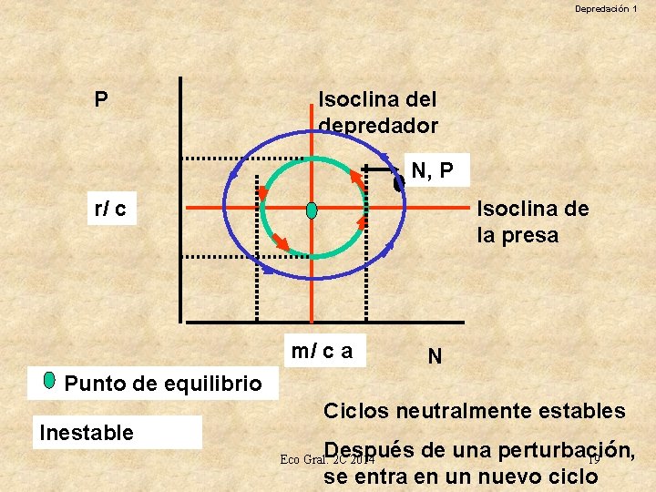 Depredación 1 P Isoclina del depredador N, P r/ c Isoclina de la presa
