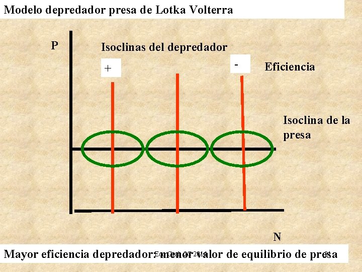 Modelo depredador presa de Lotka Volterra P Isoclinas del depredador + - Eficiencia Isoclina