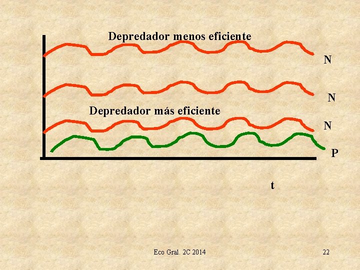 Depredador menos eficiente N N Depredador más eficiente N P t Eco Gral. 2