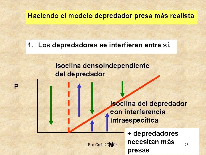 Haciendo el modelo depredador presa más realista 1. Los depredadores se interfieren entre sí.