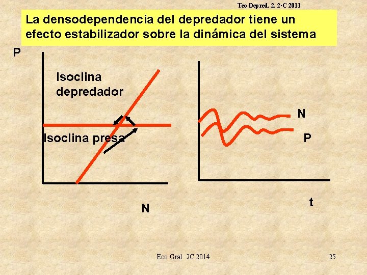 Teo Depred. 2. 2·C 2013 La densodependencia del depredador tiene un efecto estabilizador sobre