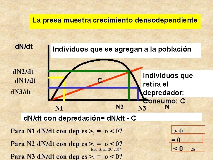 La presa muestra crecimiento densodependiente d. N/dt d. N 2/dt d. N 1/dt Individuos