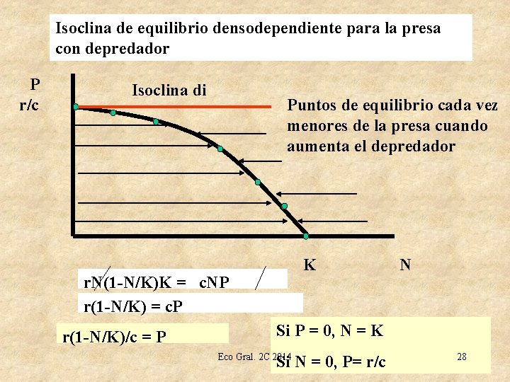 Isoclina de equilibrio densodependiente para la presa con depredador P r/c Isoclina di Puntos