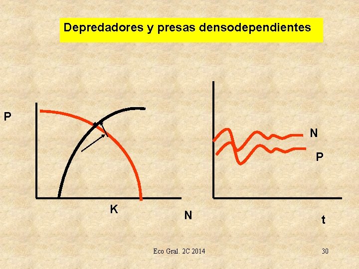 Depredadores y presas densodependientes P N P K N Eco Gral. 2 C 2014