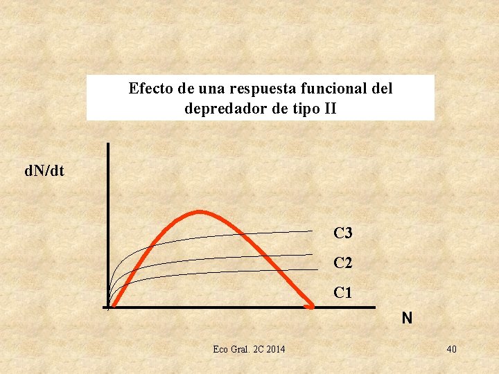 Efecto de una respuesta funcional depredador de tipo II d. N/dt C 3 C