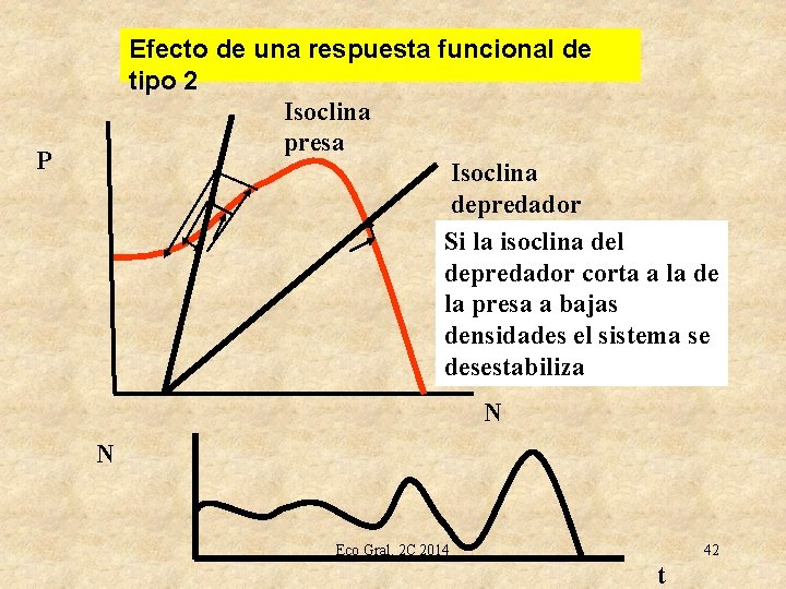 Efecto de una respuesta funcional de tipo 2 Isoclina presa Isoclina depredador Si la