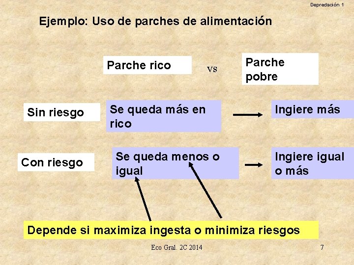 Depredación 1 Ejemplo: Uso de parches de alimentación Parche rico Sin riesgo Con riesgo