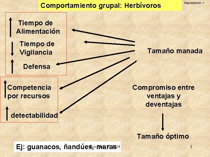 Comportamiento grupal: Herbívoros Depredación 1 Tiempo de Alimentación Tiempo de Vigilancia Tamaño manada Defensa