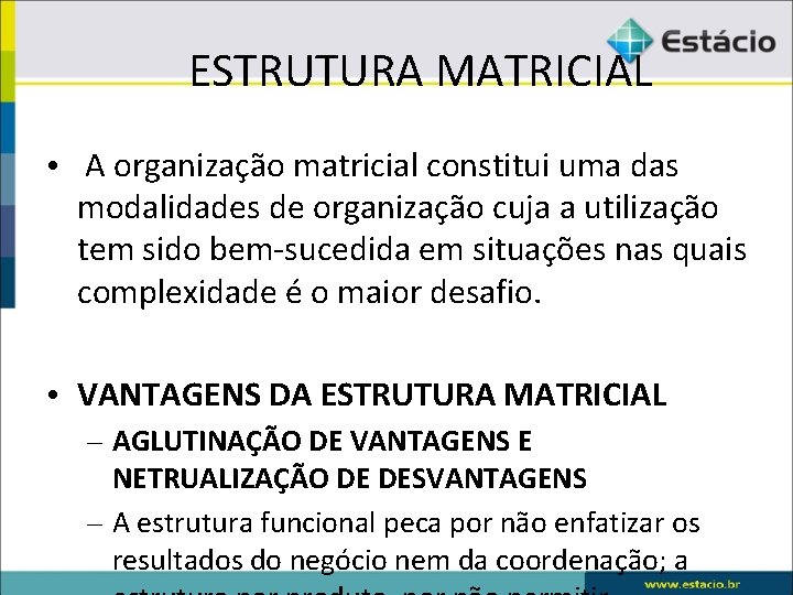 ESTRUTURA MATRICIAL • A organização matricial constitui uma das modalidades de organização cuja a