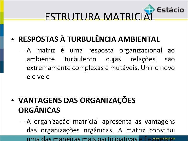 ESTRUTURA MATRICIAL • RESPOSTAS À TURBULÊNCIA AMBIENTAL – A matriz é uma resposta organizacional